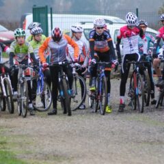 L&rsquo;album de Mercurey