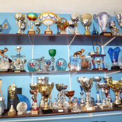 Résumé de la saison 2014