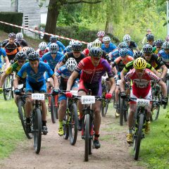 FESTIVELO 2018 : Résultats et albums photos