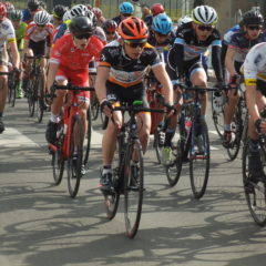 Carnet de route / Semaine 11