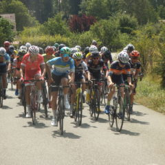 La saison 2020 reprend avec le Prix d’Arçon !