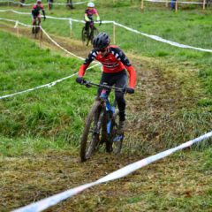 PLANNING DES ACTIVITÉS : S48