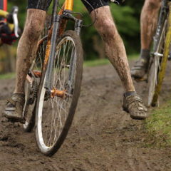 CARNET DE ROUTE dimanche 28 novembre