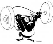 Planning des activités S52